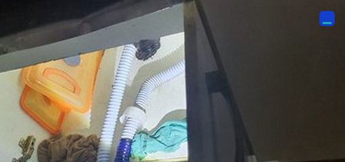 하수구막힘 연건동 하수구막힘 하수구막힘